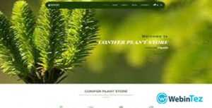 Conifer webintez.com
